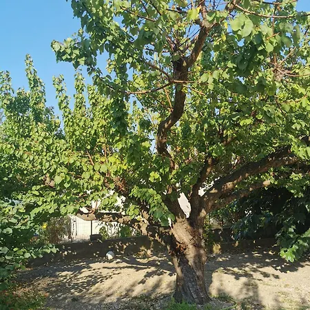 Dans Le Sud Villa Lunel (Herault)